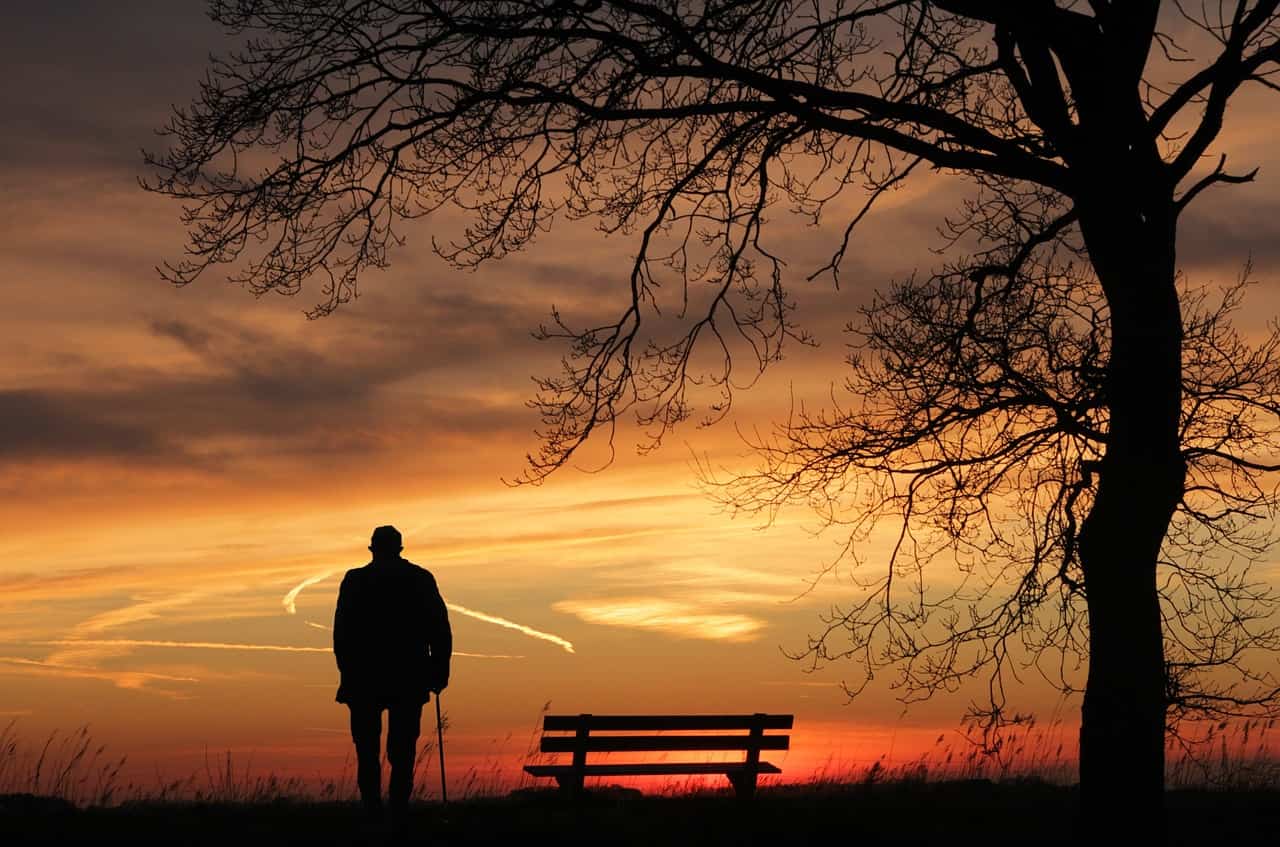 Old man standing next to bench and tree at sunset.