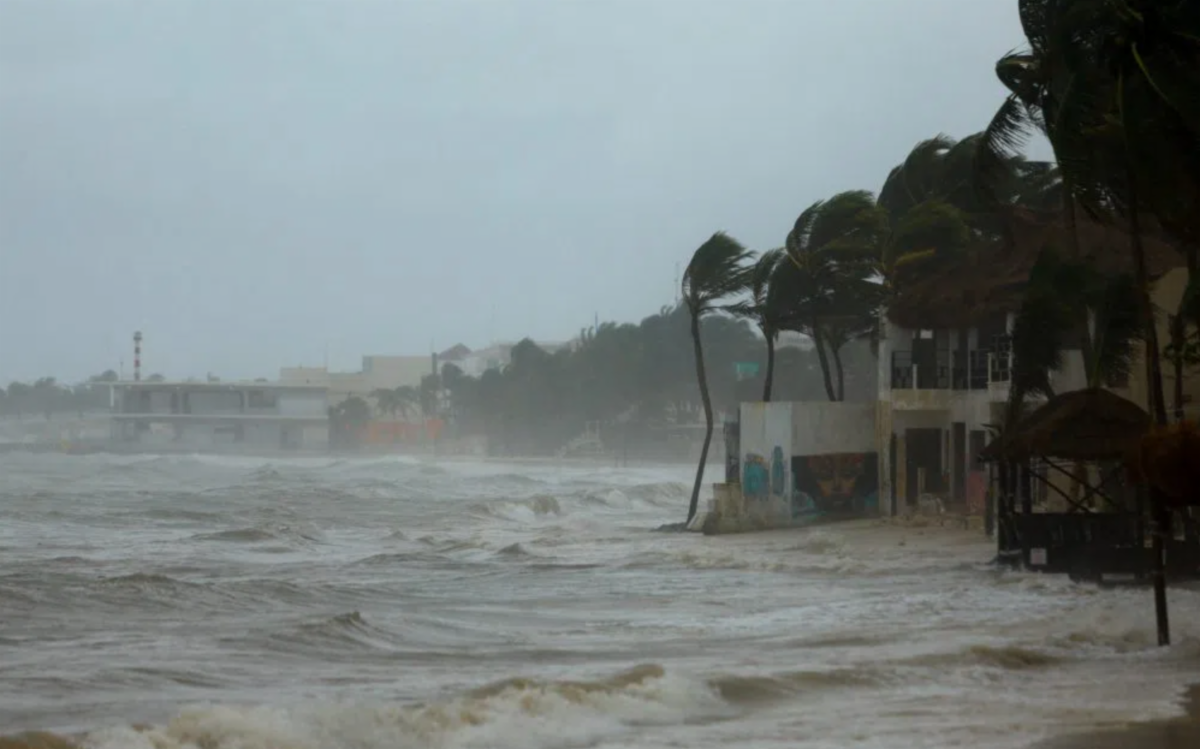 photo of a stormy shoreline with palm trees blowing over